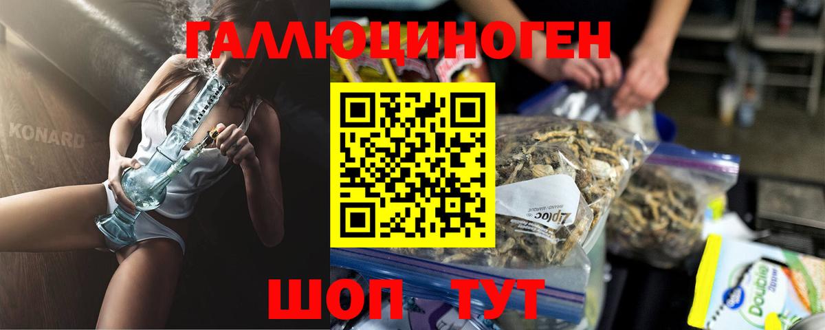 Кострома  Псилоцибиновые грибы MAGIC MUSHROOMS  Галлюциногенные грибы мухоморы  Вход с VPN 