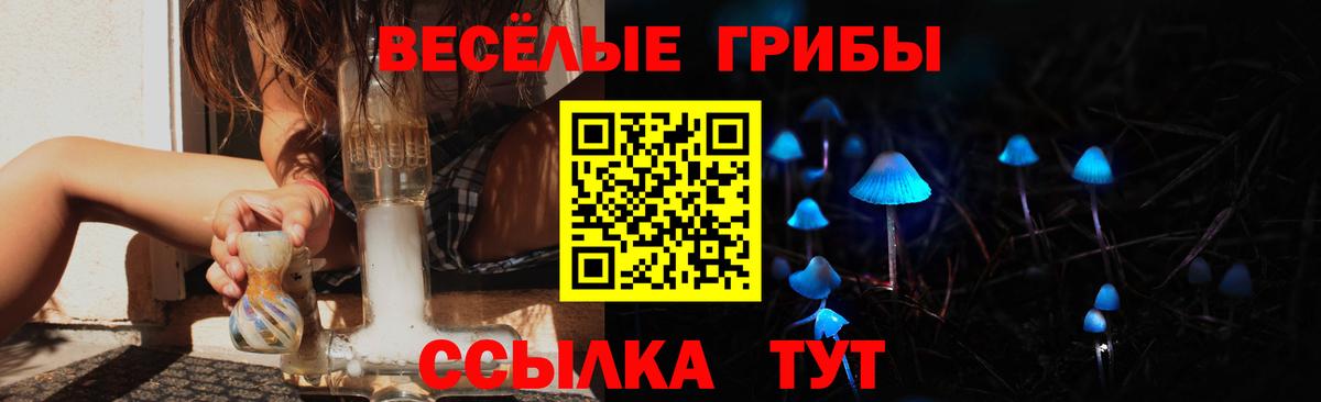 Псилоцибиновые грибы Psilocybe Кострома